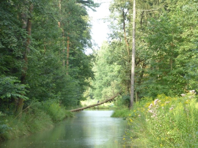 Spandauer Forst 3217_02