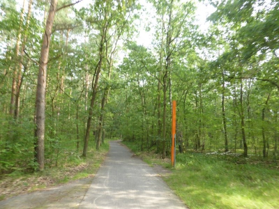 Spandauer Forst 3217_03