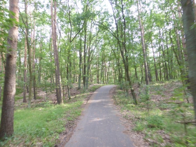 Spandauer Forst 3217_04