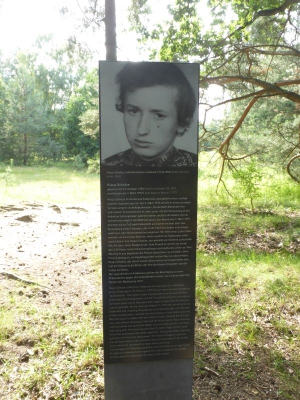 Spandauer Forst 3217_06