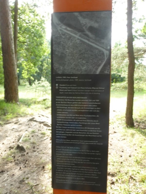 Spandauer Forst 3217_08