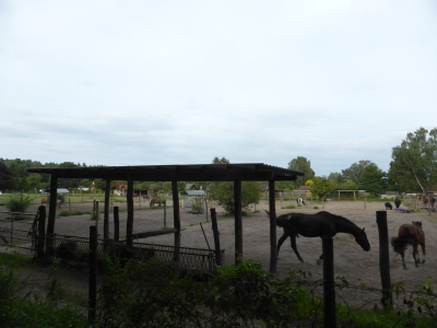 Spandauer Forst 3217_11