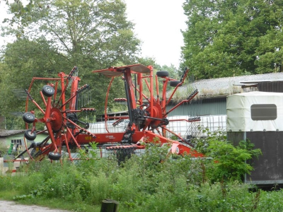 Spandauer Forst 3217_13