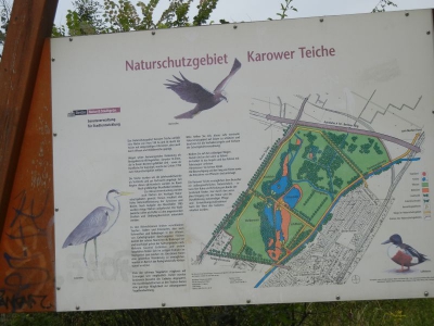 Karower Teiche Französisch Buchholz Pankow Berlin 8.13