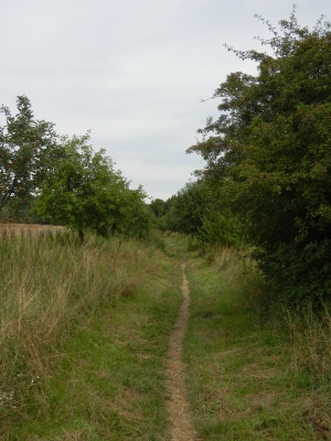 Karower Teiche Französisch Buchholz Pankow Berlin 8.13_04