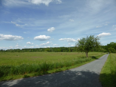 Zingergraben Radweg Blankenfelde Berlin22.14_03
