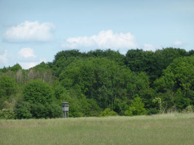 Zingergraben Radweg Blankenfelde Berlin22.14_10