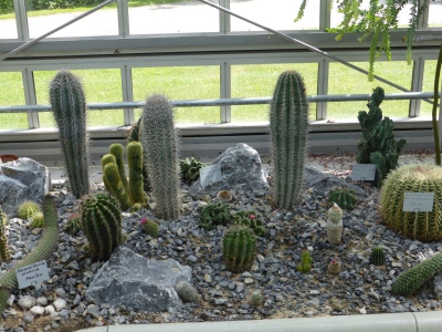 Botanischer Volkspark Blankenfelde Berlin22.14_06