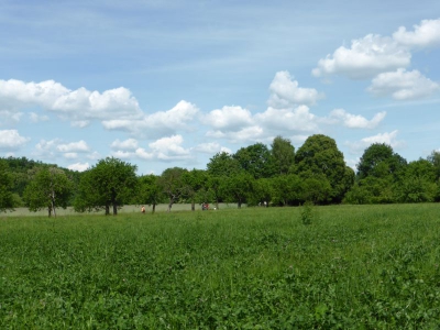 Botanischer Volkspark Blankenfelde Berlin22.14_14
