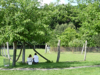 Wildgehege Botanischer Volkspark Blankenfelde Berlin22.14