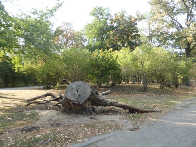 Preußenpark Wilmersdorf 3918_02