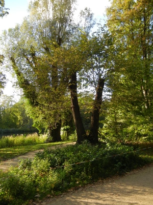 Schloss Charlottenburg Berlin_11