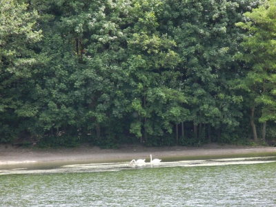 Grunewaldsee_04
