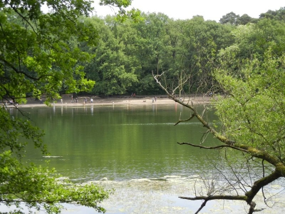 Grunewaldsee_06