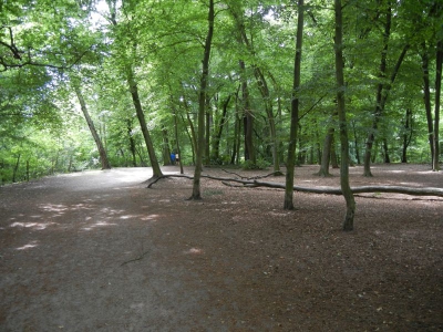 Grunewaldsee_09