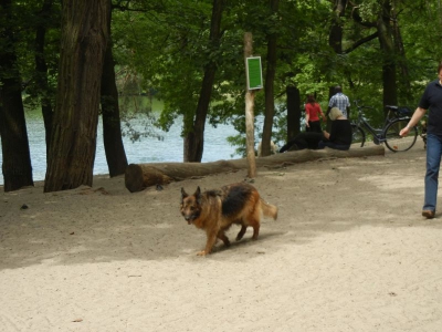 Grunewaldsee_15