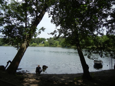 Hundekehlensee Grunewald_08