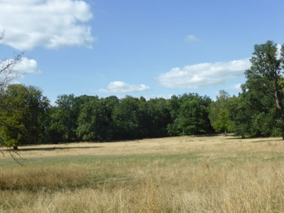 Park Ruhwald Westend 3918