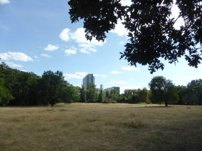 Park Ruhwald Westend 3918_09