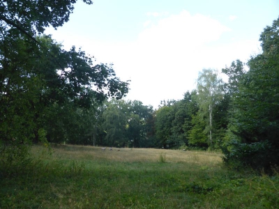 Park Ruhwald Westend 3918_12