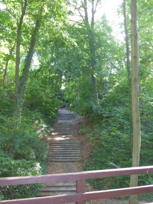 Park Ruhwald Westend 3918_16