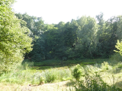 Park Ruhwald Westend 3918_20