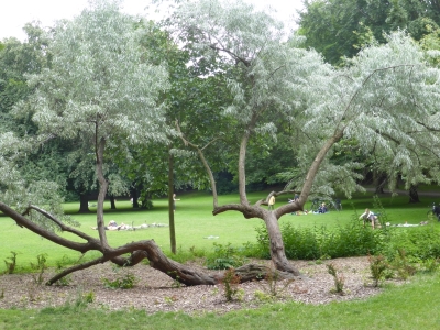 Volkspark Humboldthain Gesundbrunnen Berlin Mitte 2416_22
