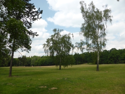 Volkspark Rehberge Berlin Wedding 2316_03