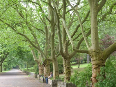 Volkspark Rehberge Berlin Wedding 2316_16