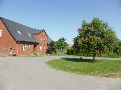 Radweg Wittenberge-Havelberg 1518_12