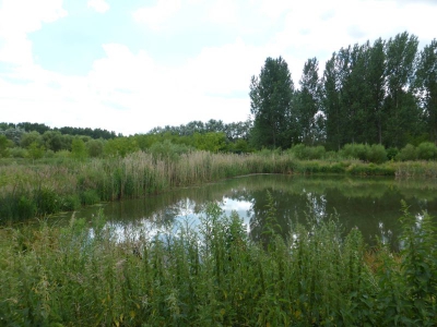 Hobrechtsfelde 2714_07 (7)