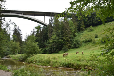 Eistobel 2622_13