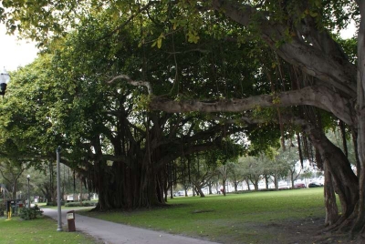 St.Petersburg Florida_07