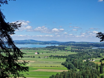 Schloss Neuschwanstein 2622