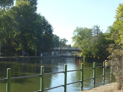 Großer Tiergarten 3918_10