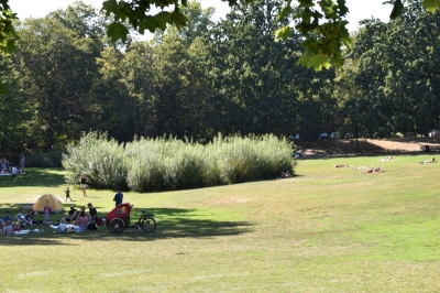 Volkspark Wilmersdorf 3920_19