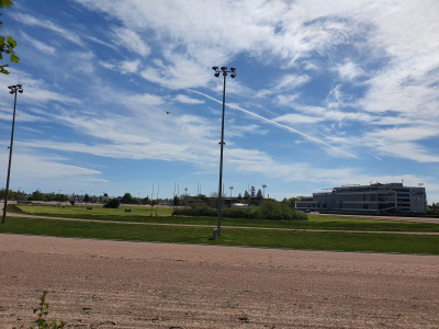 Trabrennbahn Mariendorf 2521_06