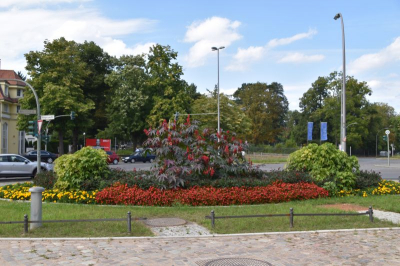 Botanischer Garten 4021_04