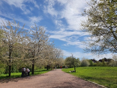 Britzer Garten 2521_04
