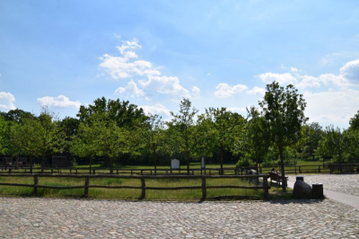 Schloss und Gutspark Britz 2521_15