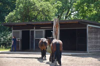 Schloss und Gutspark Britz 2521_17