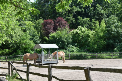 Schloss und Gutspark Britz 2521_18