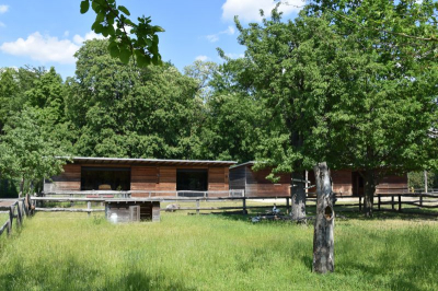 Schloss und Gutspark Britz 2521_19