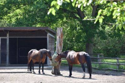 Schloss und Gutspark Britz 2521_21