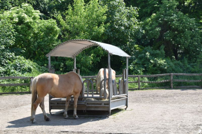 Schloss und Gutspark Britz 2521_22