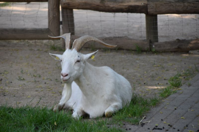 Schloss und Gutspark Britz 2521_24