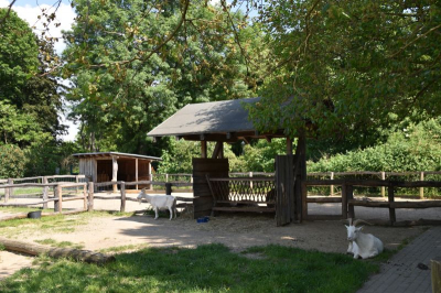 Schloss und Gutspark Britz 2521_25