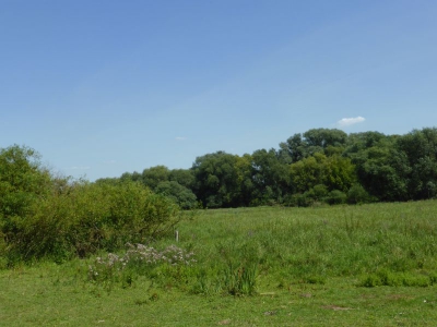 Tiefwerder Wiesen 3115_04