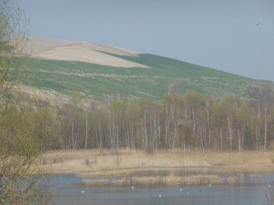 Badesee Arkenberge Blankenfelde1314_05