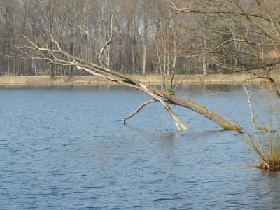 Jungfernheide Charlottenburg_05